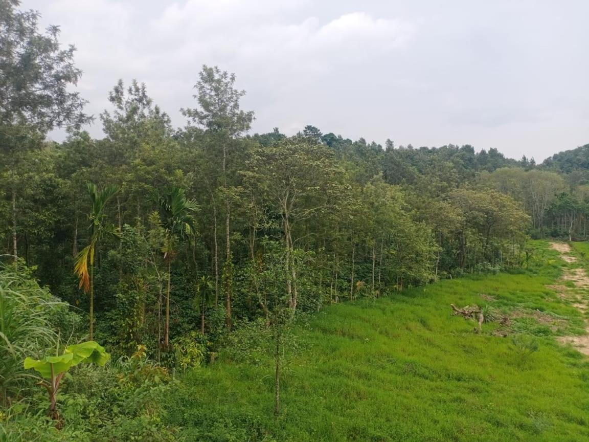 Coffee Country Homestay Chikmagalūr Kültér fotó