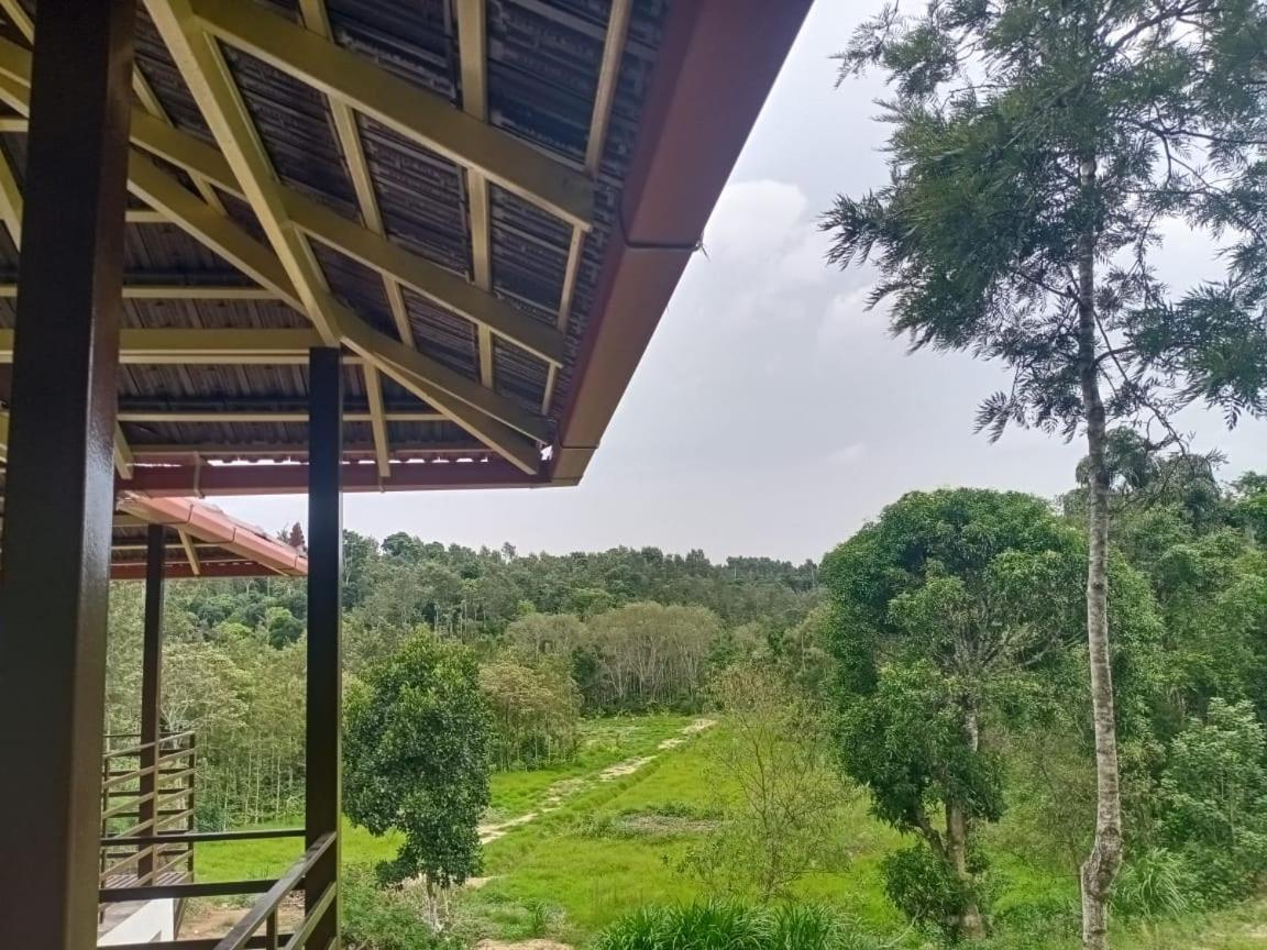 Coffee Country Homestay Chikmagalūr Kültér fotó