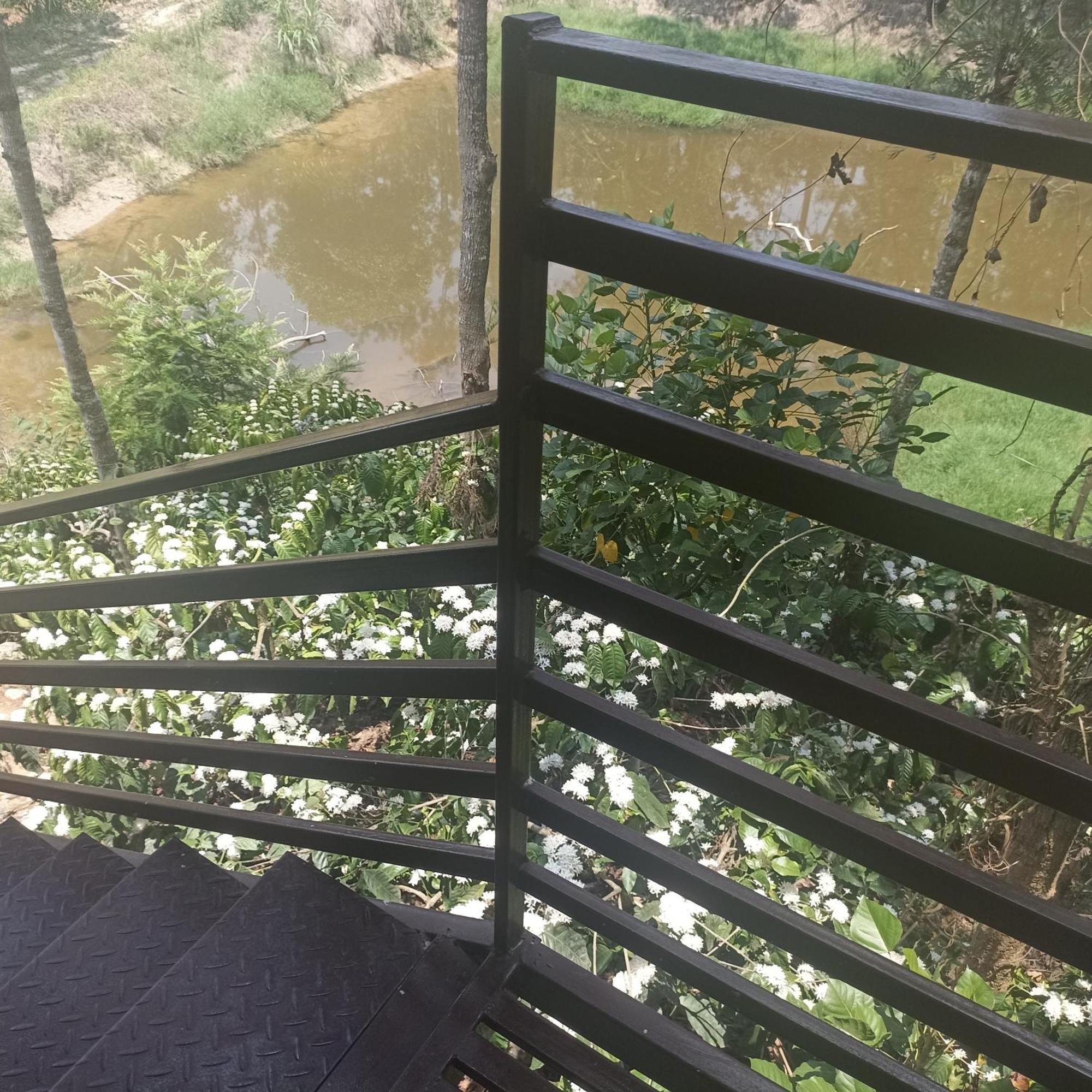 Coffee Country Homestay Chikmagalūr Kültér fotó