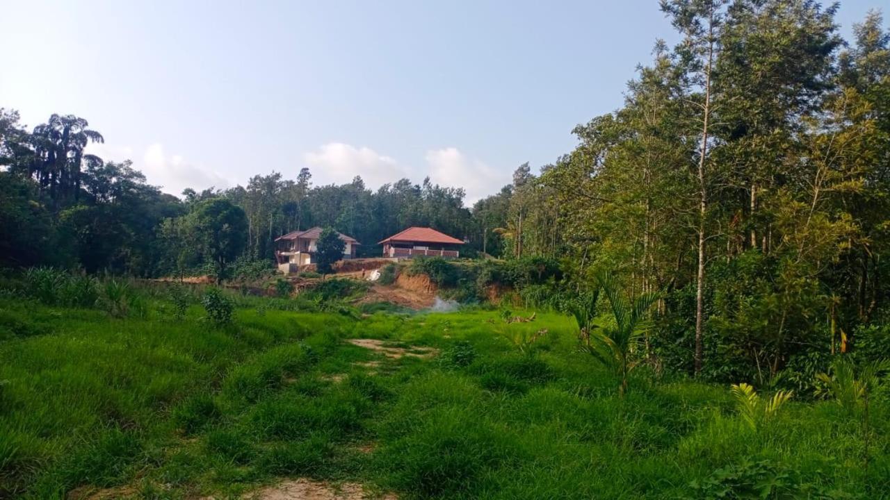 Coffee Country Homestay Chikmagalūr Kültér fotó