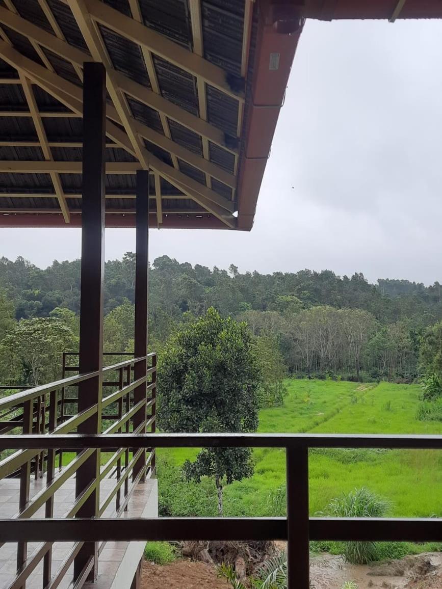 Coffee Country Homestay Chikmagalūr Kültér fotó